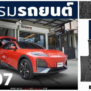 พรมรถยนต์ พรมกระดุม พรมไวนิลดักฝุ่น ผ้ายาง Deepal S07