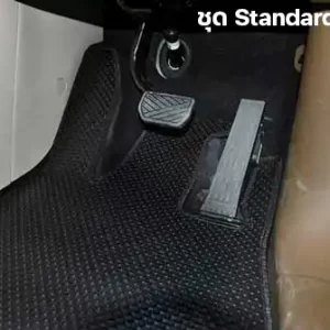 พรมกระดุม พรมรถยนต์ ผ้ายาง Aion Hyptec HT