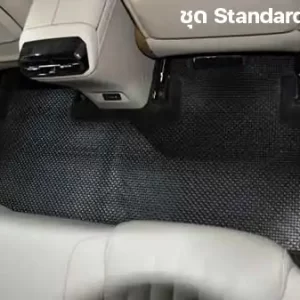 พรมกระดุม พรมรถยนต์ ผ้ายาง Aion Hyptec HT