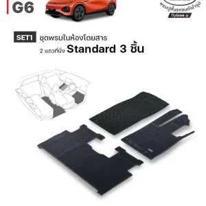 พรมรถยนต์ พรมกระดุม ผ้ายาง Xpeng G6