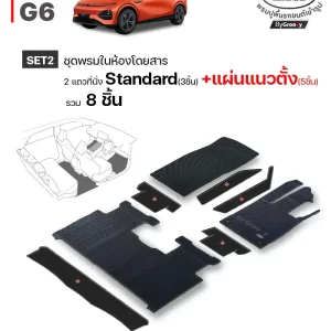พรมรถยนต์ พรมกระดุม ผ้ายาง Xpeng G6