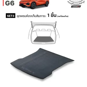 พรมรถยนต์ พรมกระดุม ผ้ายาง Xpeng G6