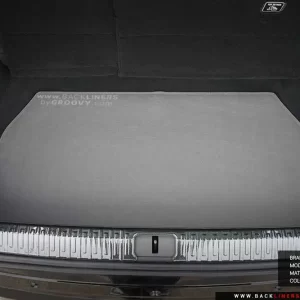 พรมรถยนต์ ผ้ายาง Xpeng X9