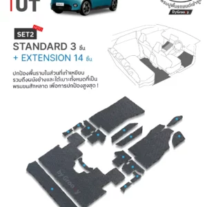 พรมรถยนต์ พรมกระดุม ผ้ายาง Aion UT